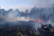 Pożar lasu pod Gorzowem