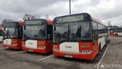 MAN czy Solaris? Wpłynęły dwie oferty na leasing autobusów