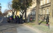 Kierowca volkswagena uderzył w drzewo