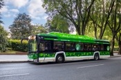 Co z dostawą autobusów elektrycznych od firmy Solaris dla Gorzowa?