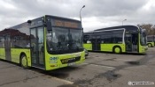 Radny chce, aby w Gorzowie powstały trzy przyspieszone linie autobusowe