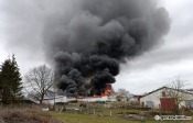 Ogromny pożar kurnika pod Gorzowem. Czarny dym widać z kilkunastu kilometrów [film i zdjęcia]