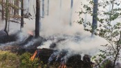 Pożar lasu niedaleko Gorzowa. W akcji samoloty gaśnicze