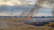 Pożar zboża na pniu koło Gorzowa. W akcji 9 zastępów straży pożarnej