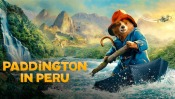 Listopadowe hity w Multikinie Gorzów: gladiatorzy, Paddington i kultowe seanse