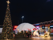Wielka parada świąteczna i warsztaty piernikowe. Grudniowe atrakcje w BIG Gorzów