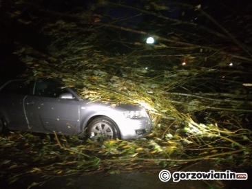 Przez Gorzów przechodzi armagedon [zdjęcia]