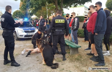 Awanturujący się kibic zatrzymany przez policję [zdjęcia]