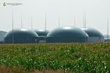 Biogazownia na trasie z Gorzowa do Różanek?