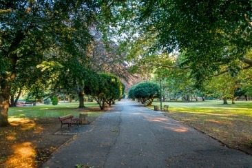 Park Róż wypięknieje