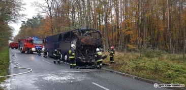 Pożar autobusu pod Gorzowem [zdjęcia]