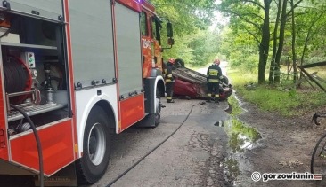 Pijany kierowca uderzył oplem w drzewo