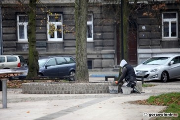 Trwa zabezpieczanie drzew na Kwadracie [zdjęcia]