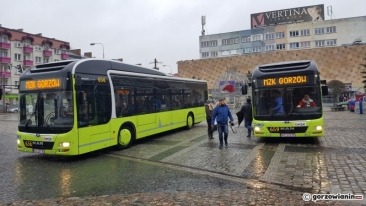 Trzy firmy chcą dostarczyć autobusy hybrydowe dla Gorzowa