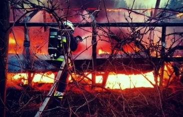 Pożar w Ciecierzycach. Płonął namiot z sadzonkami pomidorów