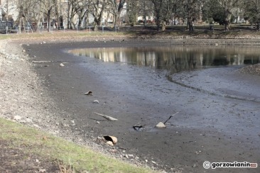 Będzie poślizg w rewitalizacji parku Róż. Są problemy ze stawem