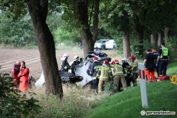 Śmiertelny wypadek pod Gorzowem. Kobieta roztrzaskała BMW o drzewo [zdjęcia]