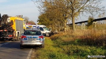 Wypadek pod Gorzowem. Kierowca busa uderzył w drzewo [zdjęcia]