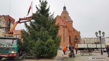 Na Starym Rynku pojawiła się choinka [zdjęcia]