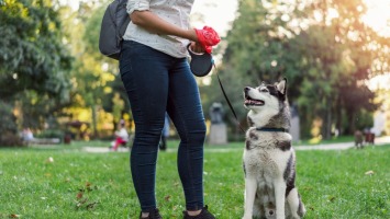 Mieszkanka Gorzowa rusza z akcją „Kupa Wstydu”