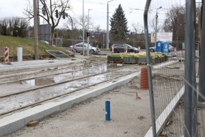 Drzewa kolidują z budową sieci tramwajowej. Dwa klony zostaną wycięte