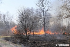 Gorzów: Plaga pożarów traw i nieużytków [zdjęcia]