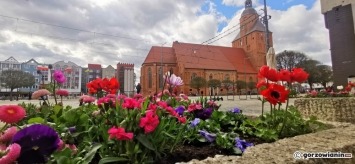 Tak Gorzów rozkwita na wiosnę. Jest pięknie i kolorowo [zdjęcia]