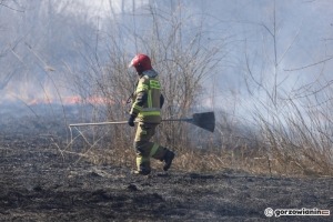 Mężczyzna próbował ugasić płonące trawy. Został poparzony