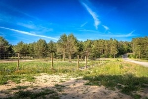 Gorzów: Dojazd do działek na os. Leśnym zostanie utwardzony