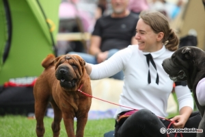 Międzynarodowe psie piękności opanują stadion żużlowy