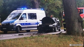 Gorzów: Pijany kierowca volkswagena uderzył w drzewo [film]