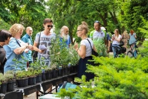 Gorzów: Na mieszkańców będą czekać sadzonki lawendy i wrzosów