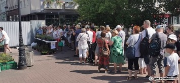 Sadzonki lawendy i wrzosów rozchwytywane przez gorzowian. Utworzyła się długa kolejka [zdjęcia]