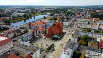 W Gorzowie będzie więcej zieleni. Aż sześć firm chce posadzić drzewa w mieście