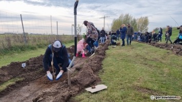 W Gorzowie posadzono już prawie 400 nowych drzew i to nie koniec!