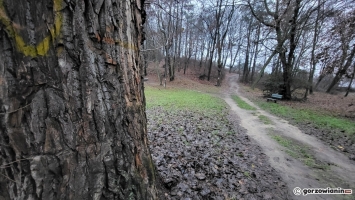 W parku Słowiańskim w Gorzowie grasuje ekshibicjonista!