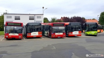 Autobusy z Gorzowa trafią na Ukrainę. Jakie są koszty transportu?