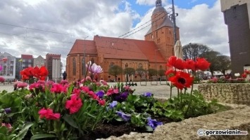 Kiedy w końcu nadejdzie wiosna? Zaglądamy do prognoz