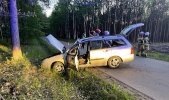 Dachowanie forda koło Gorzowa. Kierowca uciekł do lasu [zdjęcia]