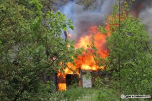 Pożar na ogródkach działkowych. Altanka cała w ogniu [zdjęcia]