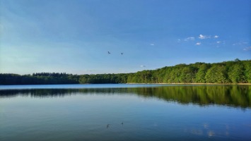 Ładne plaże i czyste jeziora niedaleko Gorzowa? Podpowiadamy, gdzie warto pojechać