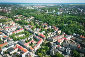 Kto posadzi drzewa i wybuduje zielony przystanek w Gorzowie?