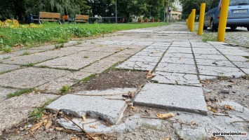 Rozsypujący się chodnik i zaniedbany skwer w centrum Gorzowa do przebudowy