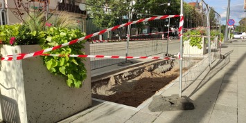 Mniej betonu, więcej zieleni w Gorzowie. Czas start!