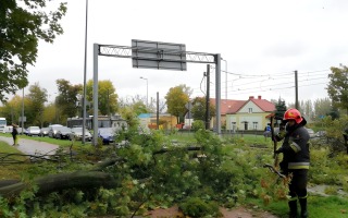 Uwaga na silny wiatr w Gorzowie. Jest ostrzeżenie IMGW