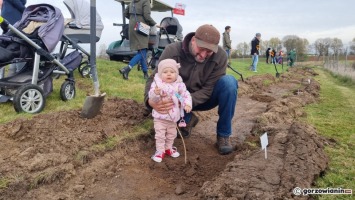 Zostałeś rodzicem? Posadź drzewko dla swojego dziecka w Gorzowie