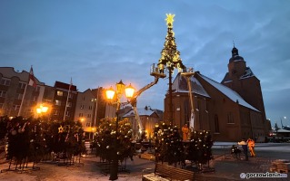 Trwa montaż choinki na Starym Rynku. Tak Gorzów stroi się na święta