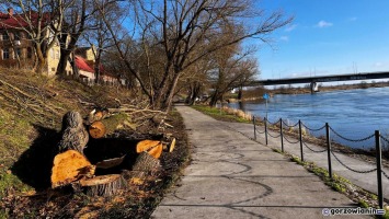 Trwa wycinka drzew wzdłuż ścieżki nad Wartą w Gorzowie