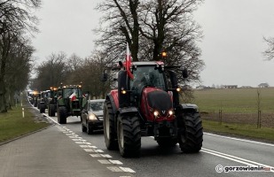 Protest rolników w Gorzowie. Przejadą przez miasto traktorami