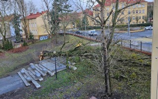 Drzewo spadło na schody w parku Róż. Zniszczona lampa i barierki